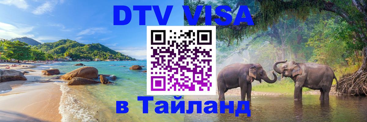 Visa ДТВ Тайланд помощь Домодедово 
